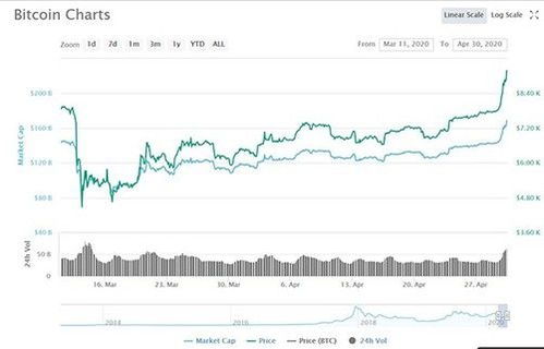 趋势比特币,波动中的机遇与挑战