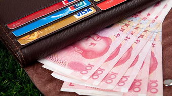 不受中国政府监管的usdt钱包,了解其运作与风险