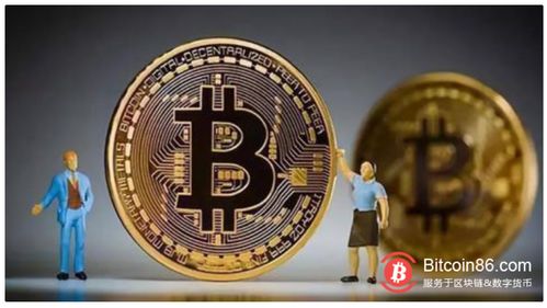 新浦比特币,崛起中的加密货币新星