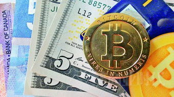 今天美元比特币,市场波动与未来展望