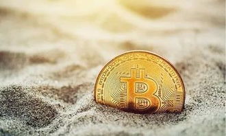 比特币指纹,揭秘数字货币的“指纹识别”技术