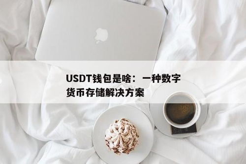 如何自己做一个usdt钱包,SDH是什么设备