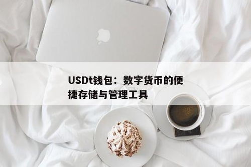 USDT钱包密码,USDT钱包密码的重要性与安全设置指南