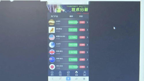 网恋比特币,揭秘网络爱情的陷阱与风险