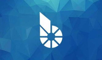 比特股币,比特股币概述