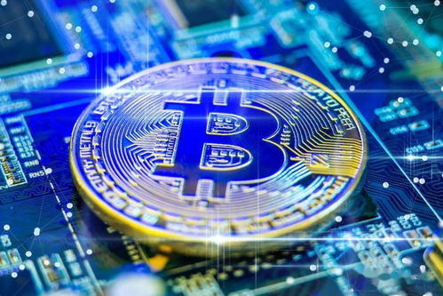 特比特币行情,波动中的机遇与风险