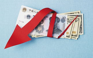 usdt转人民币的钱包,USDT钱包转人民币的便捷指南