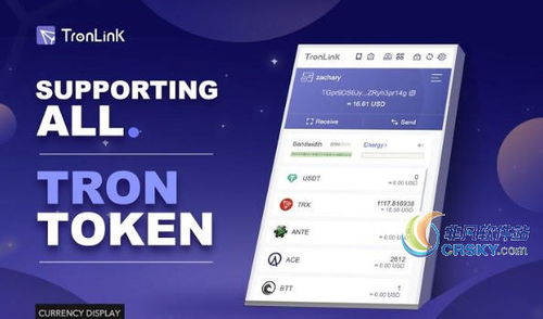 tron钱包usdt,功能、优势与使用指南