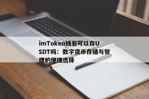 可以存usdt的钱包,适合存储USDT的钱包选择指南