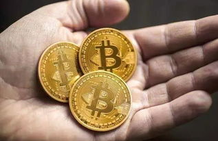 比特币暴富实例,从零到千万的惊人转变