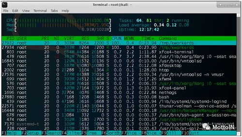 最容易获得的加密货币,入门指南