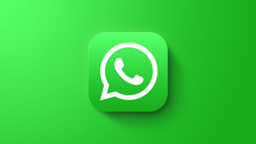 中国人怎么注册whatsapp,中国人如何注册WhatsApp？详细步骤解析