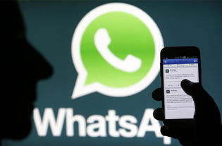 值得信赖的whatsapp客服,关键要素与最佳实践