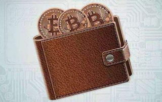 最大的加密货币匿名钱包,揭秘最大的加密货币匿名钱包——深度解析