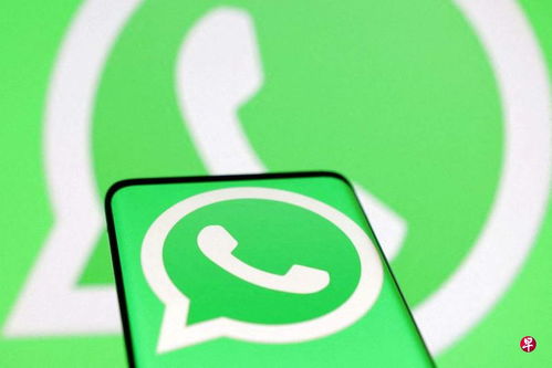 中国人也用whatsapp吗,中国人使用WhatsApp的现状与趋势