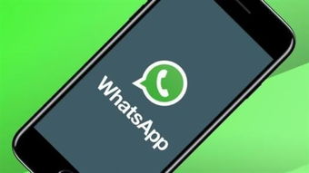 自建站WhatsApp,打造专属企业沟通平台