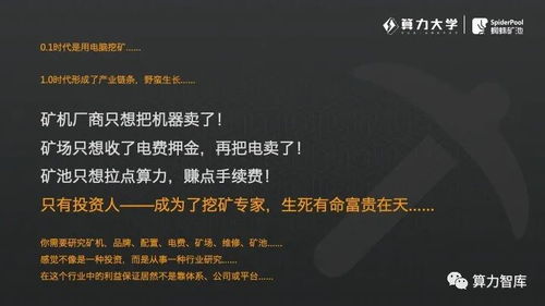 蜘蛛池以太坊采矿,高效挖矿的新选择