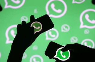 中国屏蔽whatsapp意图,中国屏蔽WhatsApp的意图分析