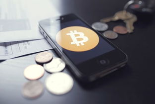 支持加密货币支付的网站,未来支付趋势的引领者