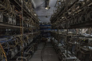 最新以太坊矿场,从挖矿到AI算力租用服务