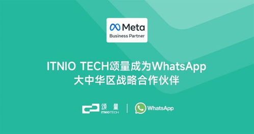 中国区whatsapp,中国区WhatsApp现状及替代方案探讨