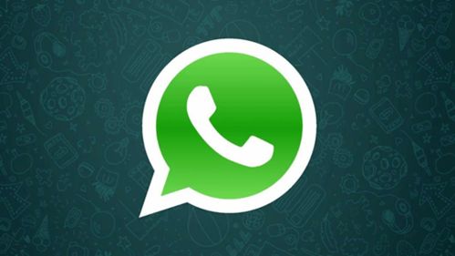 中国和巴西whatsapp,机遇与挑战并存