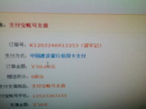 支付宝充值skype没到账,支付宝充值Skype话费未到账怎么办？解决方法全解析