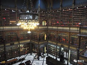 中国以太坊东莞第一人