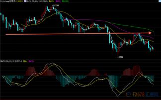 郑州加密货币最新消息,政策导向与产业发展并行