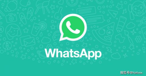 智利有使用whatsapp吗,即时通讯的普及与影响