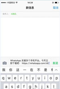 知道whatsapp号 怎么加好友,知道WhatsApp号，如何轻松添加好友？