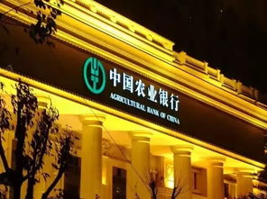 自己有公链用以太坊,技术优势与实际应用