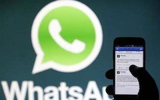 中国能监控whatsapp吗,揭秘网络监管的边界