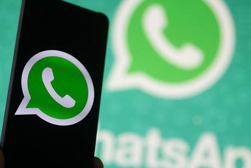 知道对方手机号了怎么加whatsapp,知道对方手机号，如何轻松添加WhatsApp好友？