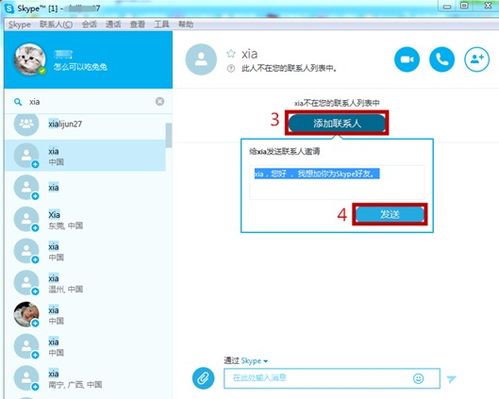 最新 skype 聊天 软件,跨越时空的沟通桥梁