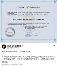 专业加密货币投资人证书,开启加密投资新篇章