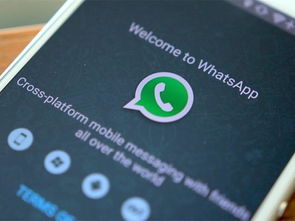 赚钱的whatsapp营销,开启您的跨境赚钱之路