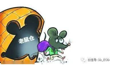 淄博加密货币老鼠仓,揭秘内幕交易背后的风险