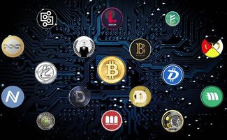 最离谱的加密货币