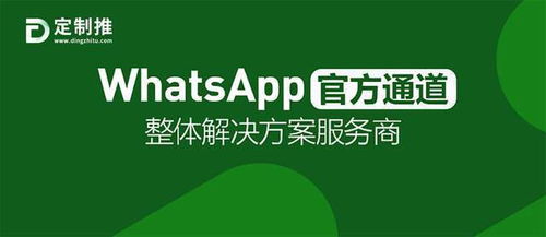 做whatsapp营销,开启全球市场的新机遇