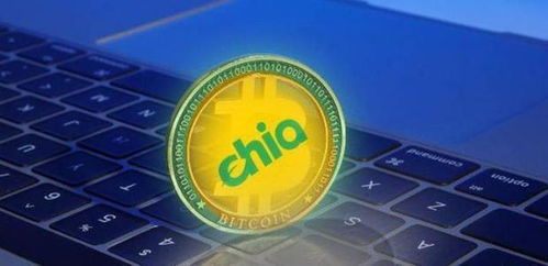中国加密货币chia,绿色挖矿的新星