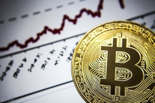 自己建加密货币,我的个人建币之旅