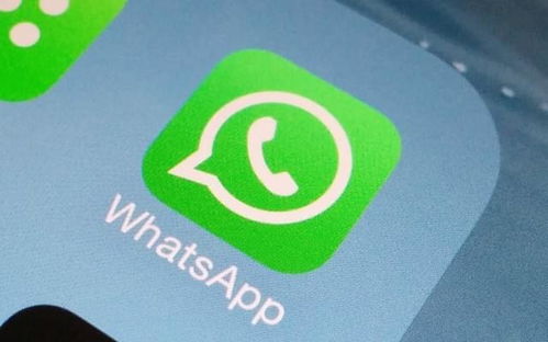 座机号码能查whatsapp,如何通过座机号码查找WhatsApp联系人？