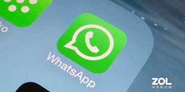 自己whatsapp需要买网络,为什么我需要为WhatsApp购买网络服务？