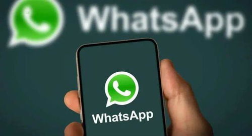 中国不能用whatsapp了,中国地区WhatsApp使用现状及原因分析