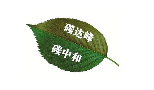 以太坊 碳中和,区块链技术的创新应用
