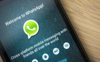 中国用Whatsapp为什么,揭秘中国用户如何安全使用WhatsApp