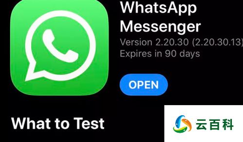 中国iphone怎么用whatsapp,中国iPhone用户如何使用WhatsApp畅享国际通讯