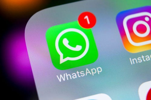 最近whatsapp能用不,畅享无障碍沟通的便捷之旅