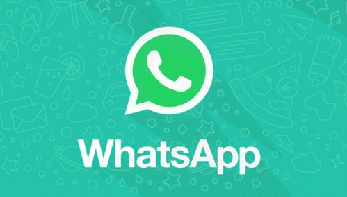 最新版的whatsapp是什么样的,功能升级与用户体验革新